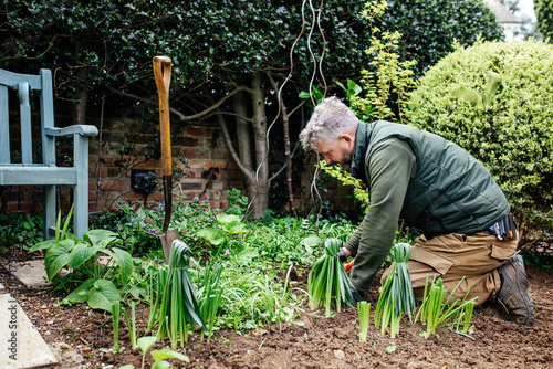 Gardener is working in beautiful English garden.