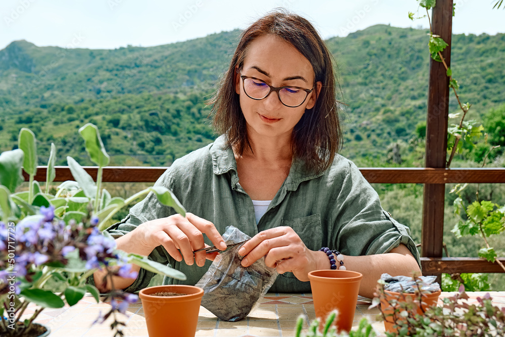 Fototapeta premium Woman sowing medicinal or aromatic herbs in clay pot on balcony. Home planting and food growing. Sustainable lifestyle. Taking care of plants, growing herbs and flowers in small garden in apartment.