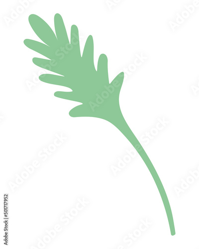 Poppy leaf. Figured part of the plant. Green vegetation. Color vector illustration. Isolated background. Flat style. Idea for web design.