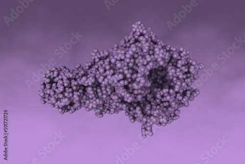 Space-filling molecular model of MERS-CoV complexed with human DPP4. Rendering based on protein data bank entry 4l72. 3d illustration photo