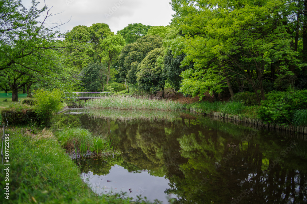 北の丸公園の鮮やかな緑の風景