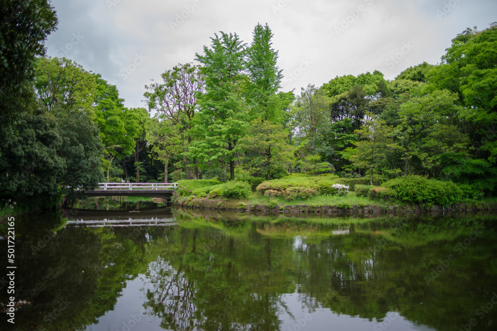 北の丸公園の鮮やかな緑の風景