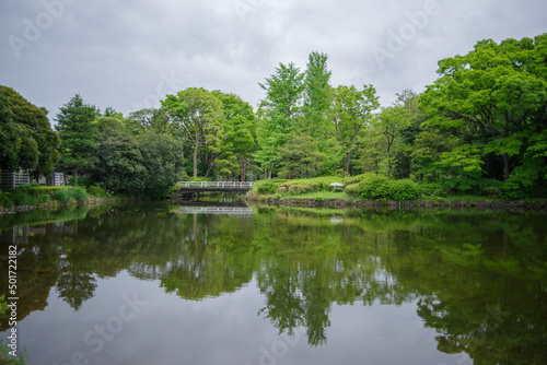 北の丸公園の鮮やかな緑の風景