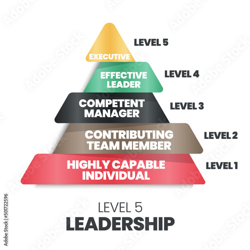The vector of the 5 levels of the leadership pyramid vector starts with a highly capable individual, contributing team member, competence manager,  effective leader, and executive for HRD analysis.  