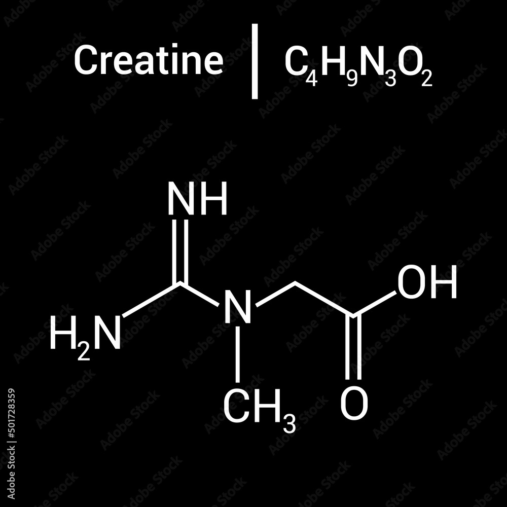 chemical structure of creatine (C4H9N3O2) Stock Vector Adobe Stock
