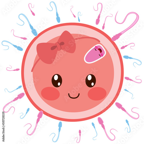 Fast pink sperm on egg cell...