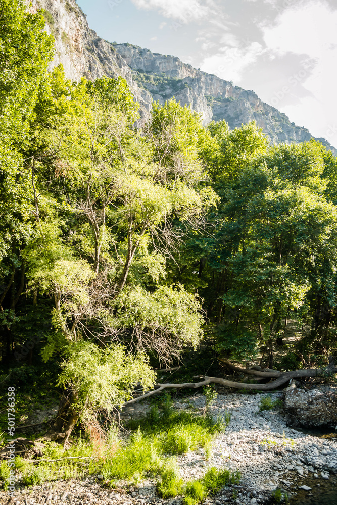 Rivers Pinios in the valley of Tembi - Greece. Rivers Pinios in the valley of Tembi - Greece.