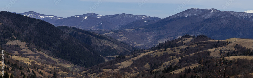 Forest on hills of mountains at daytime, banner. Forest on hills of mountains at daytime, banner.