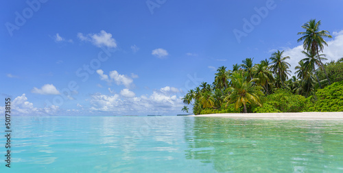 Beach with palm trees and crystal clear water. Idyllic tropical island in summer. © Igor