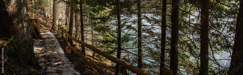 Fototapeta premium Trail with snow near fence in evergreen forest, banner.