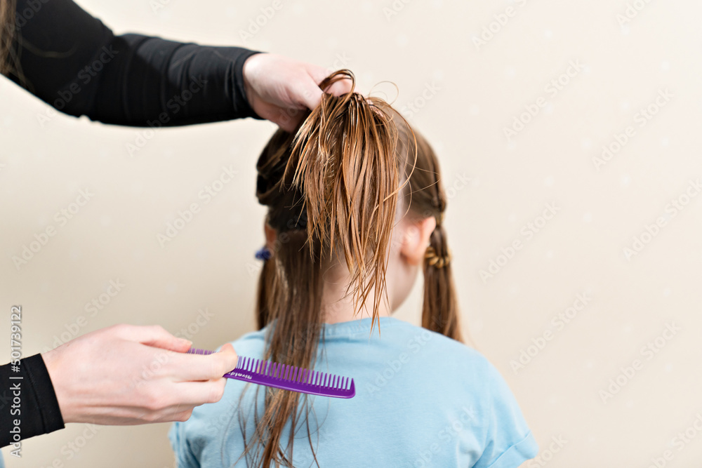 Fototapeta premium Mom combs, shares her daughter's wet hair before cutting. cutting hair at home. life hacks and rules of hair care. special combs and scissors for hairdressers.