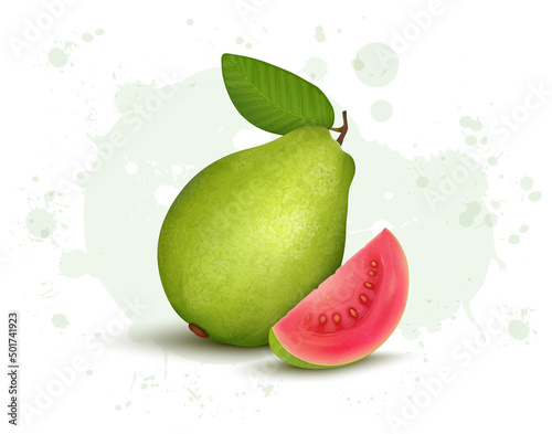 Vector illustration of Green Guava vector illustration with guava pink slices on white background