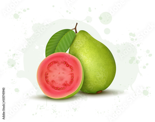 Whole Pink guava vector illustration with guava half piece 