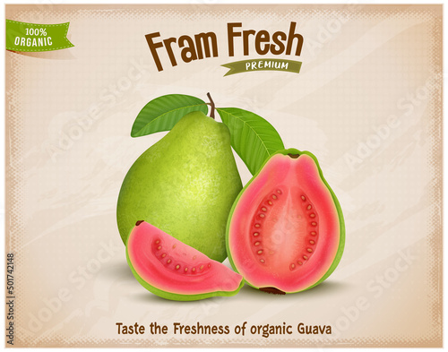 Fresh Green Guava vector illustration with half piece of pink guava and guava slices and green leaves