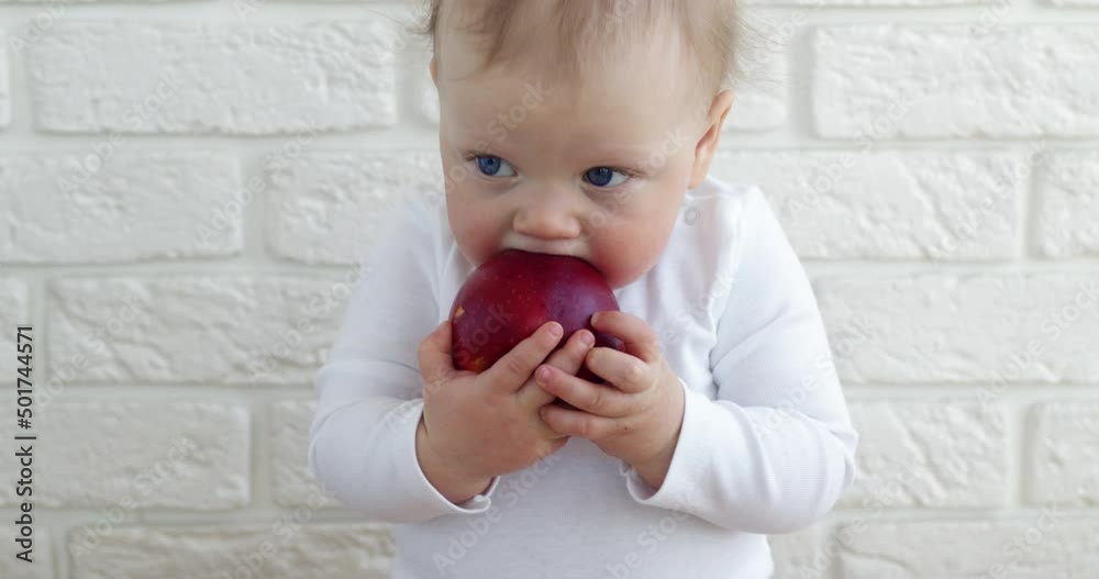 Cute infant tries to bite fresh red apple sitting against brick wall. Blond baby boy in white bodysuit holds round juicy fruit close view Cute infant tries to bite fresh red apple sitting against brick wall. Blond baby boy in white bodysuit holds round juicy fruit close view