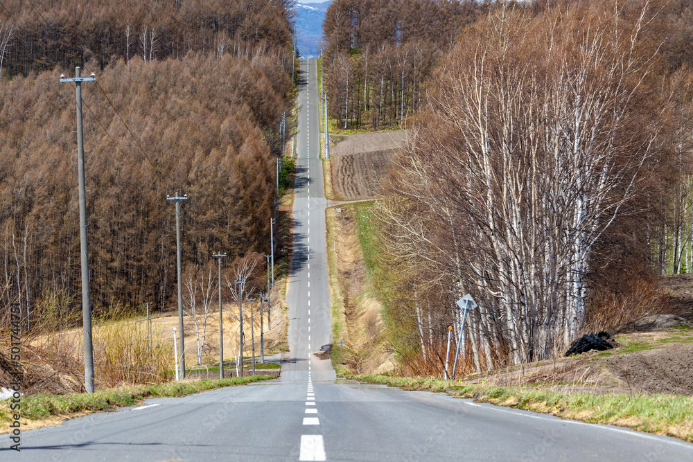 目の前にまっすぐ伸びる北海道の直線道路と左右に広がる針葉樹 Stock Photo Adobe Stock 目の前にまっすぐ伸びる北海道の直線道路と左右に広がる針葉樹 Stock Photo Adobe Stock