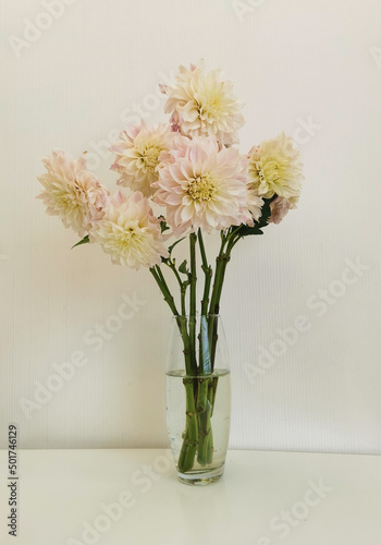 Bouquet of white dahlia flowers in a glass vase on a white background.