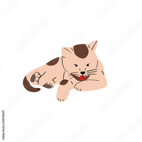Cute cat licking paw, washing, cleaning and grooming itself with tongue. Adorable feline animal. Sweet lovely neat and tidy kitty. Flat vector illustration isolated on white background