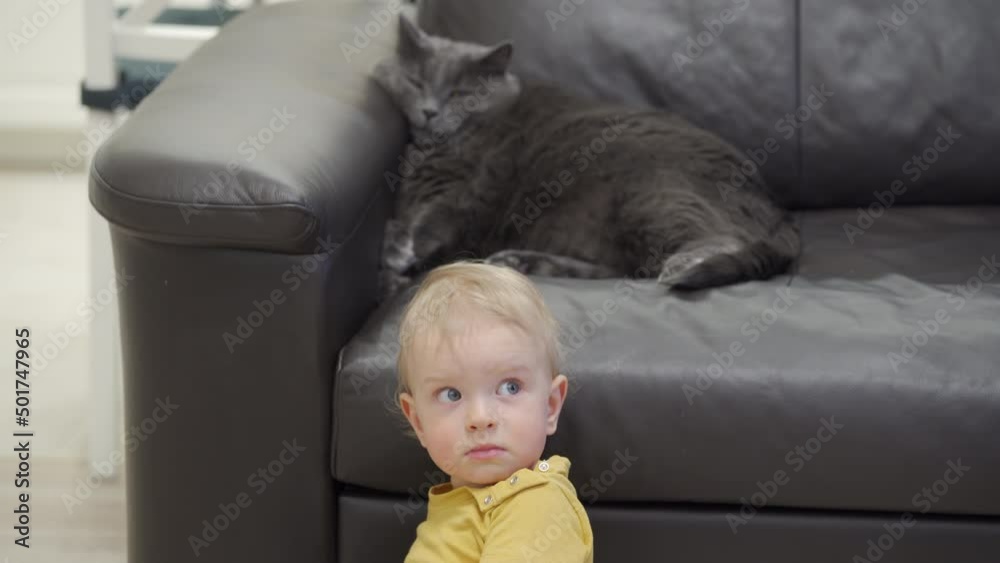 Baby and cat living together happily, one year old kid with gray cat at home. High quality 4k footage Baby and cat living together happily, one year old kid with gray cat at home. High quality 4k footage