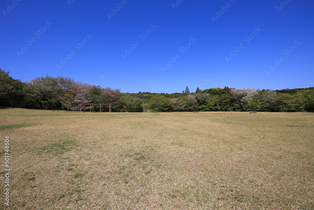 高知県土佐清水市　唐人駄馬