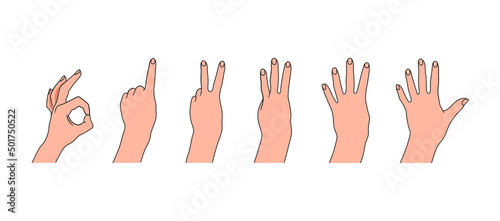  Vector Set of Hands Showing Numbers, Counting Gestures Icons Isolated on White Background, Gesturing Drawing, Colored Illustration Template.