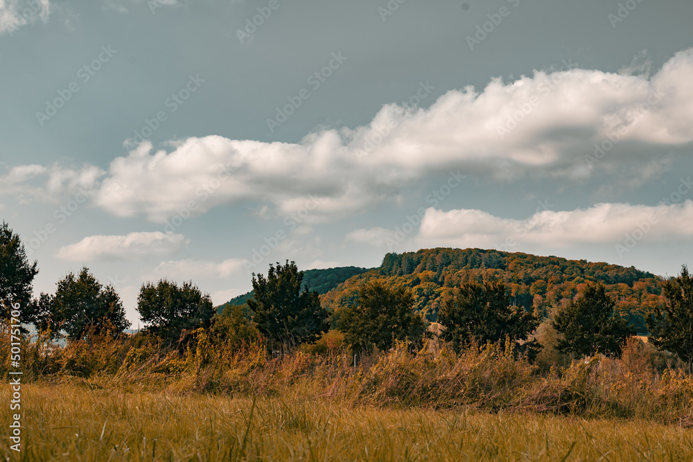 landscape of mountain and forest in autumn. mountain landscape with yellow grass and a gray sky with clouds