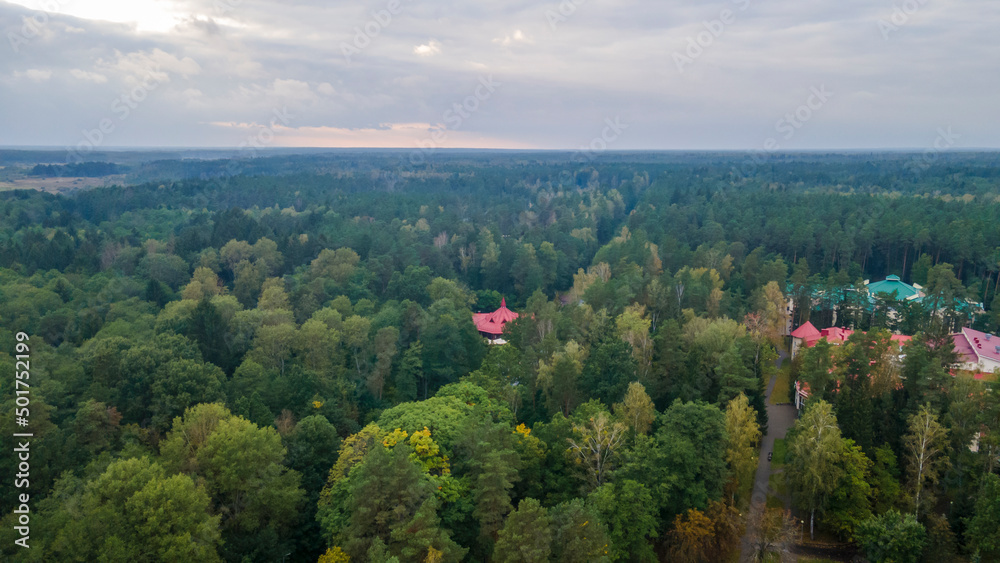Aerial view of luxury hotel with villas in forest. Luxurious villa, pavilion in forest. Resort complex in forest surrounded by trees.