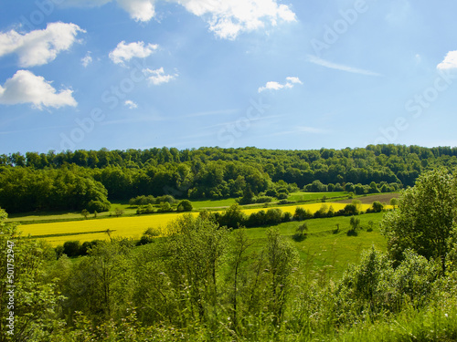 German agricultural green landscape with yellow rape seed field and forest in late spring.