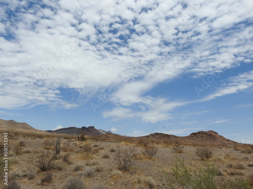 The beautiful Mojave Desert scenery within the Lake Meade Recreation Area, in southern Nevada.