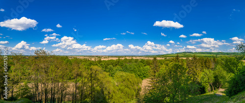 Summer nature landscape panorama. Panoramic view of green forest, meadov and blue cloudy sky
