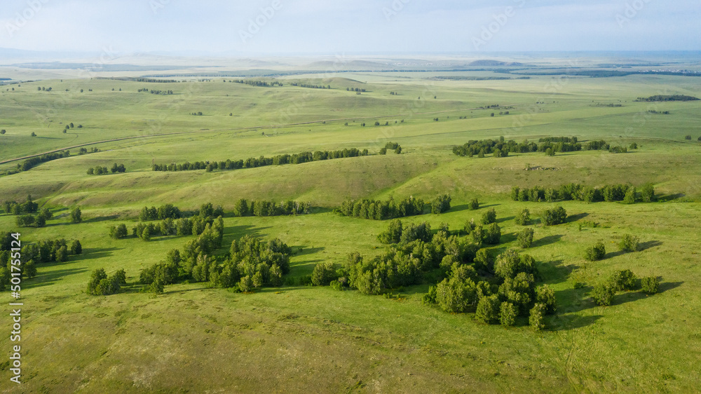 Southern Urals, trans-Ural steppe. A herd of horses in the pasture. Aerial view.