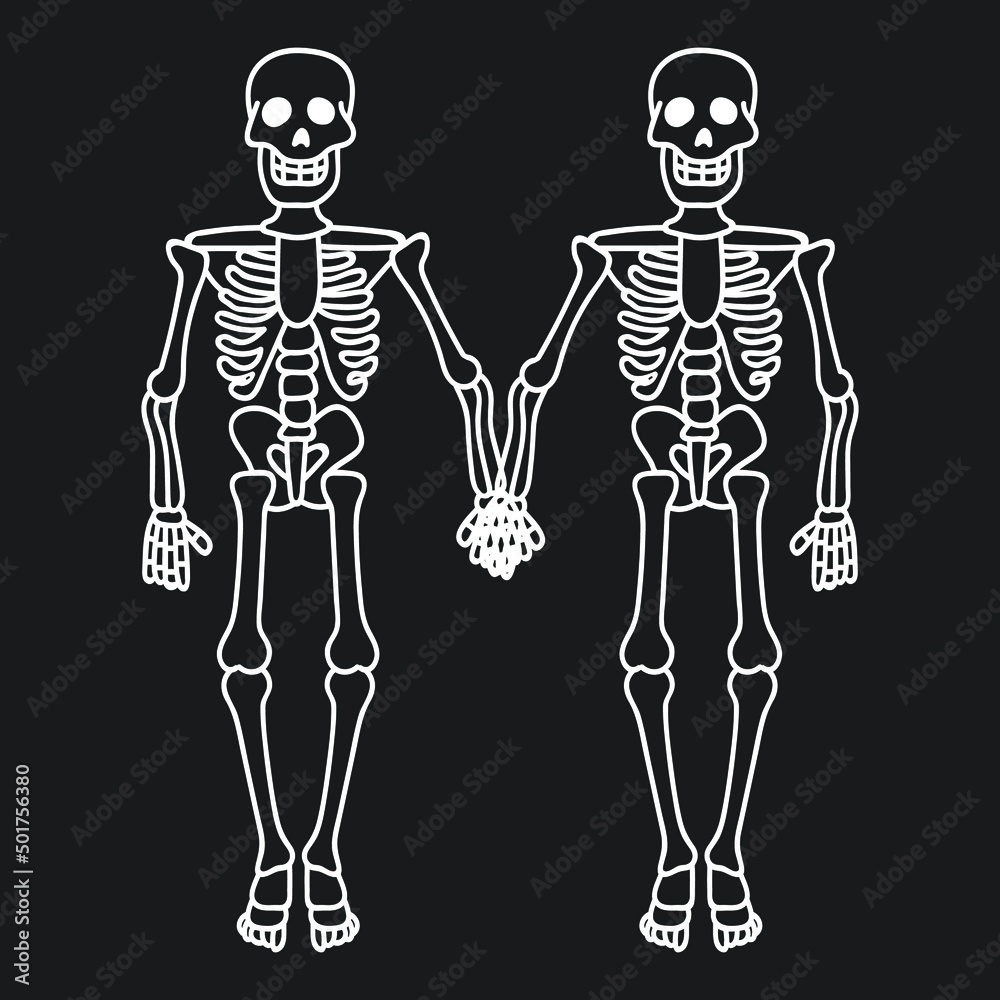 couple of skeletons holding hands, contour drawing of skeletons couple of skeletons holding hands, contour drawing of skeletons