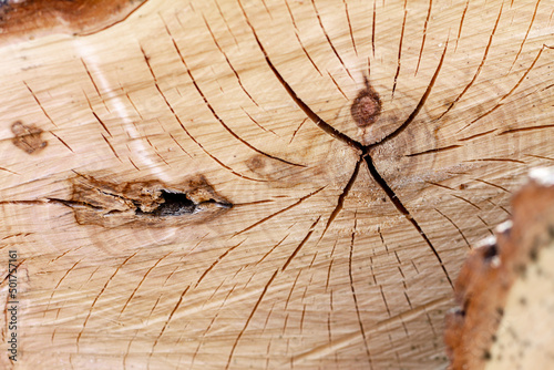 there is a pattern in the form of a man on the log cabin of a wooden log; creative design