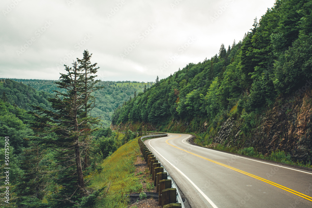 Scenic mountain winding road after the rain. Green forest hills in the background. Cape Breton, Cabot Trail, Nova Scotia, Canada