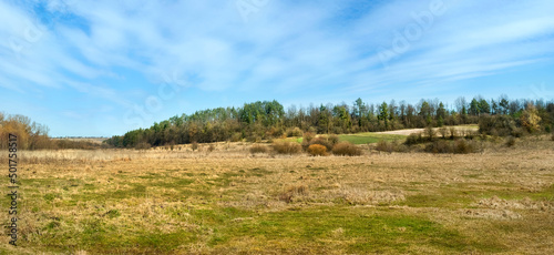 landscape on spring meadow and beautiful blue sky, forest grove, nature wakes...