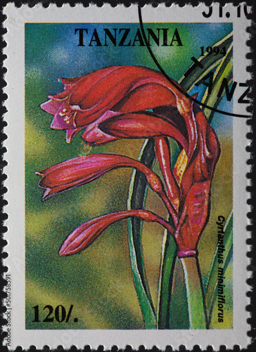 TANZANIA - CIRCA 1994: a postage stamp from TANZANIA, showing the flowering Cyrtanthus minimiflorus flower. Circa 1994 photo