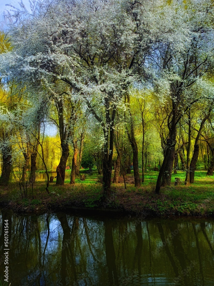 Obraz premium Spring in the park