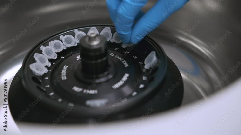 Scientist puts microcentrifuge tubes into centrifuge for phase