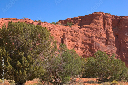 Red Rock Cliff and Evergreens.