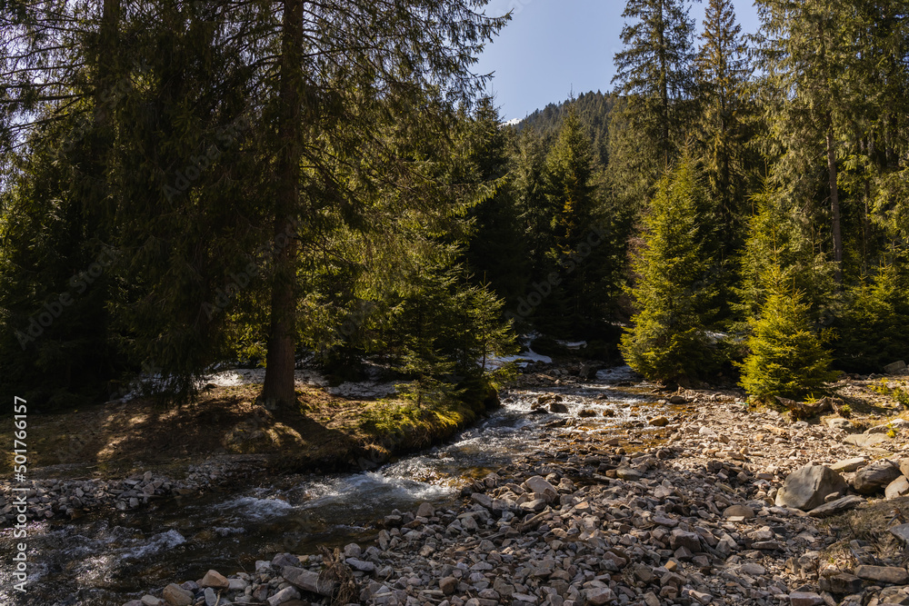 Scenic view of mountain river with stones on shore near pine trees. Scenic view of mountain river with stones on shore near pine trees.