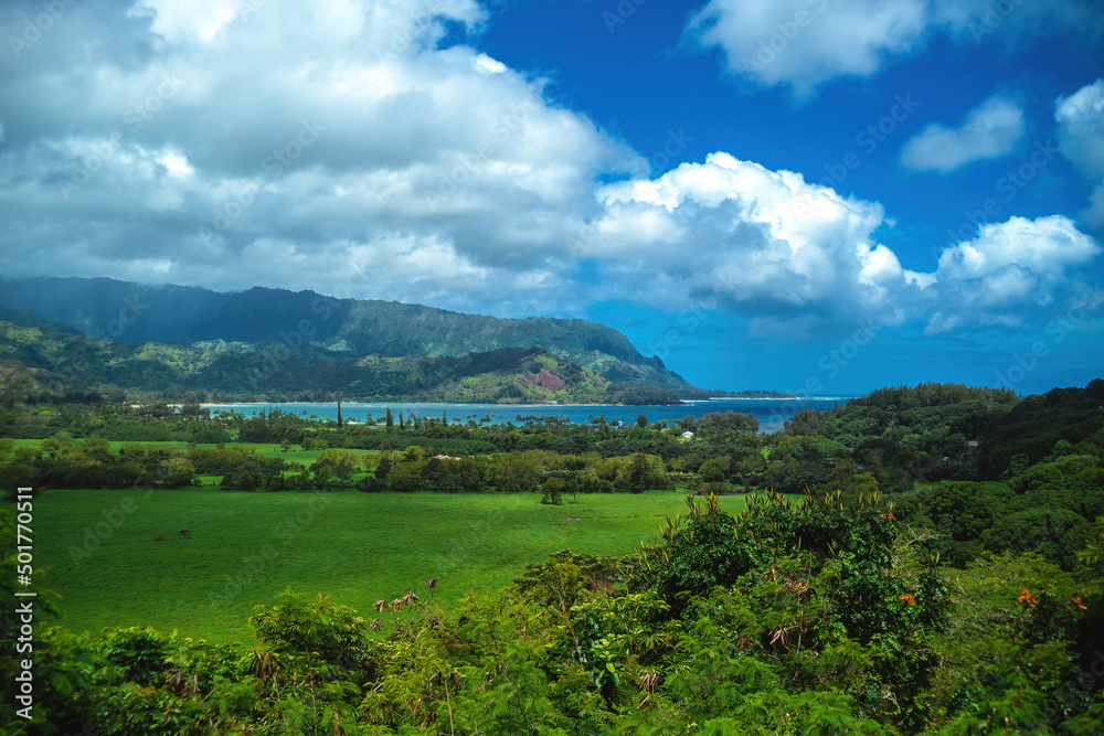 The beautiful lush jungles of Kauai, Hawaii, with green mountains rising in the distance underneath a cloudy sky, near Hanalei