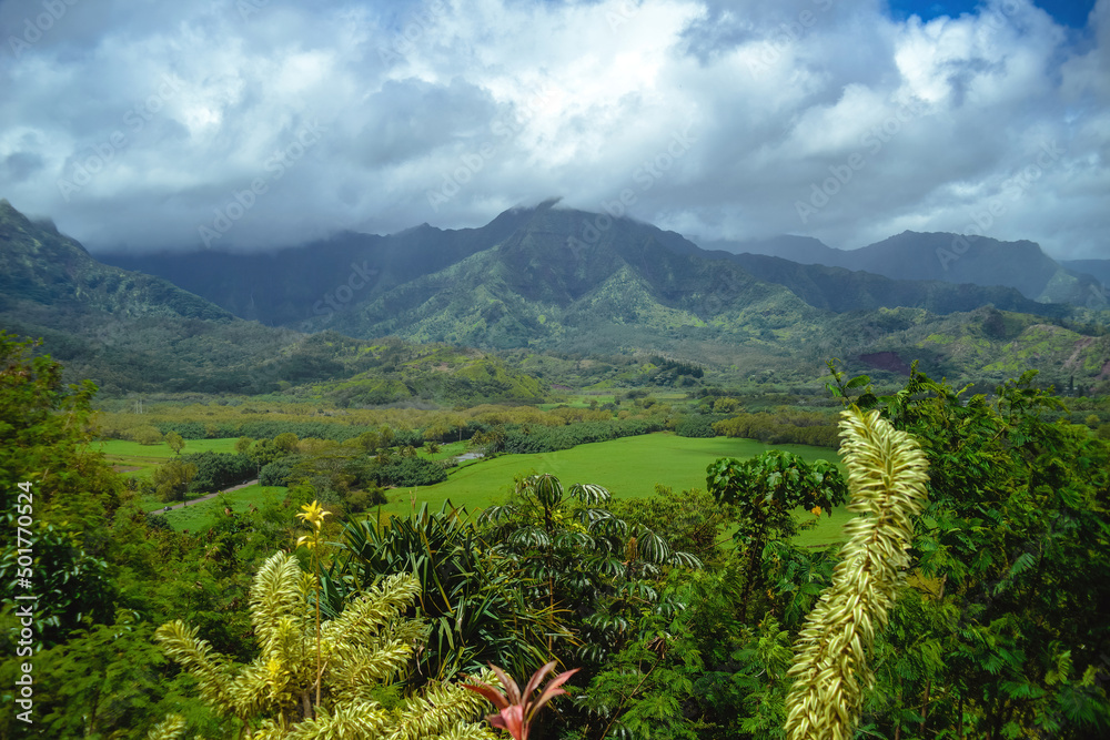 Φωτογραφία The beautiful lush jungles of Kauai, Hawaii, with green mountains rising in the