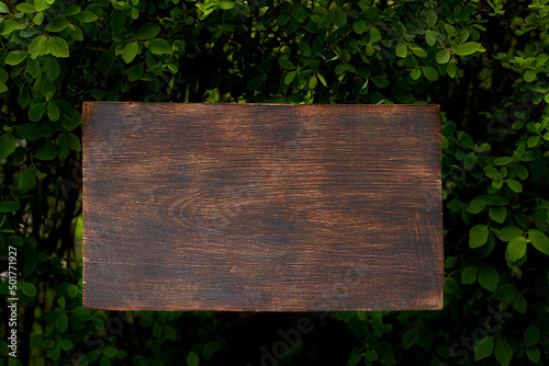 Old grunge wooden plank with leaves use for background. Mock up