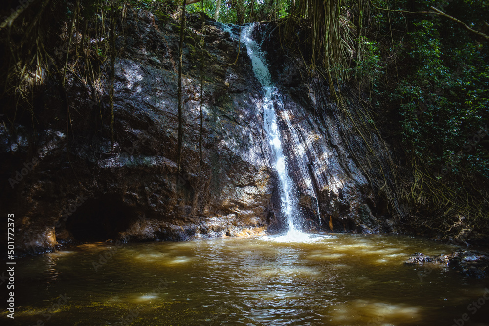 Small, gently flowing jungle waterfall deep in the forest on the Kipu Ranch on the Hawaiian island of Kauai, surrounded by lush tropical foliage and descending into a bright green natural pond Small, gently flowing jungle waterfall deep in the forest on the Kipu Ranch on the Hawaiian island of Kauai, surrounded by lush tropical foliage and descending into a bright green natural pond