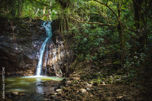 Fényképezés Small, gently flowing jungle waterfall deep in the forest on the Kipu Ranch on t
