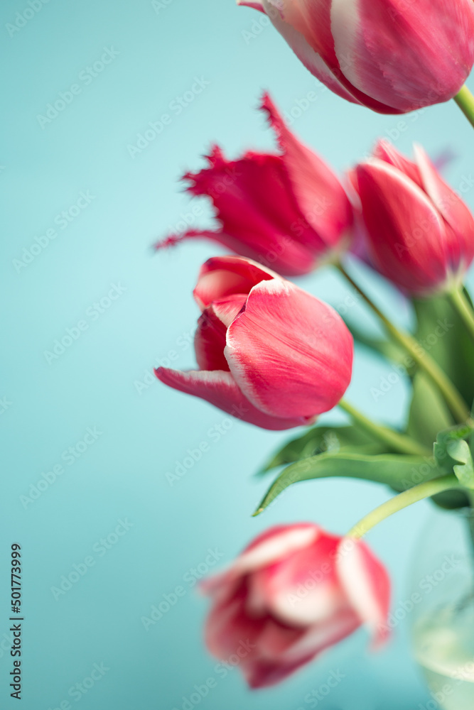 Vertical photography of tulips bouquet.Copy space for text. Vertical photography of tulips bouquet.Copy space for text.
