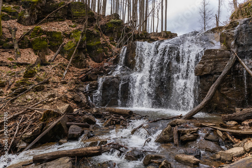 Mountain creek on stones in forest.