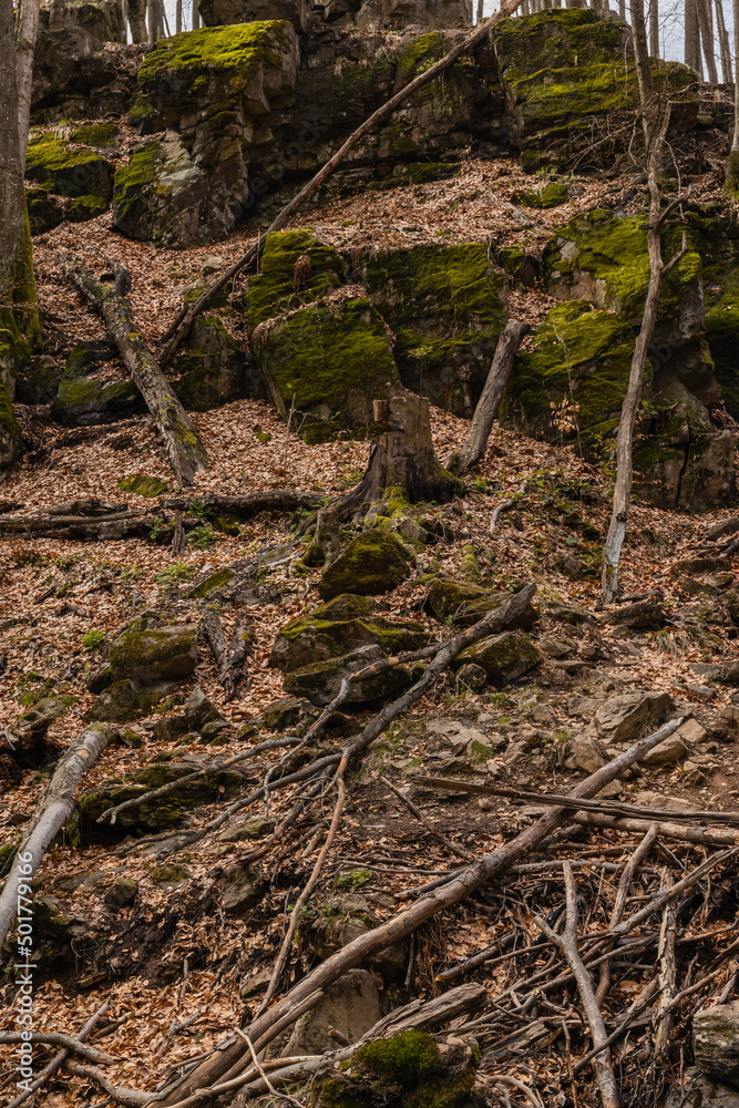 Stones in moss and dry leaves in mountain forest. Stones in moss and dry leaves in mountain forest.