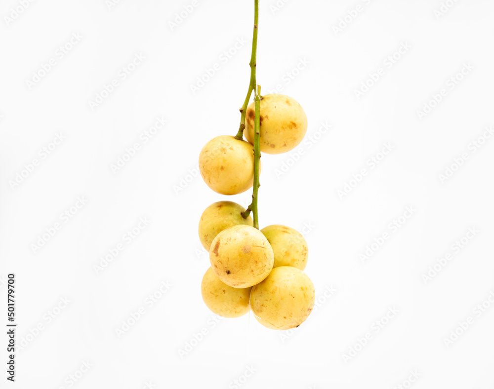 Baccaurea motleyana also known as lotkon isolate on white background,