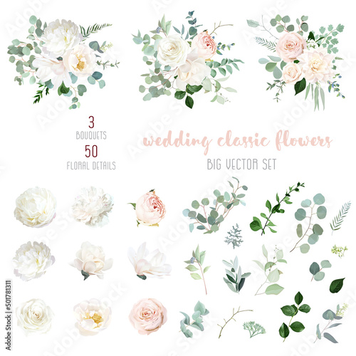 Fotobehang Blush pink rose and sage greenery, ivory peony, magnolia, beige dahlia, ranunculus flowers, eucalyptus vector collection